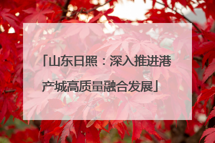 山东日照：深入推进港产城高质量融合发展