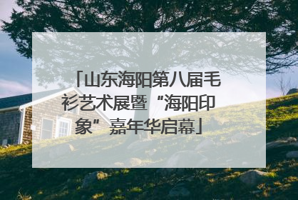 山东海阳第八届毛衫艺术展暨“海阳印象”嘉年华启幕