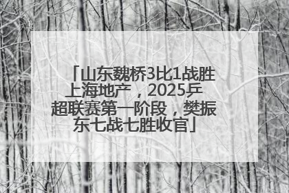 山东魏桥3比1战胜上海地产，2025乒超联赛第一阶段，樊振东七战七胜收官