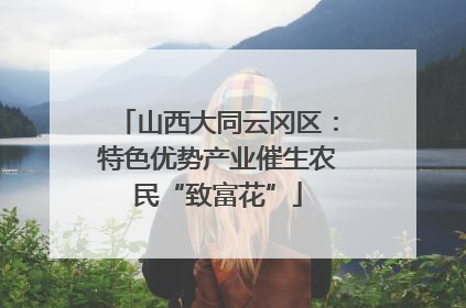 山西大同云冈区：特色优势产业催生农民“致富花”