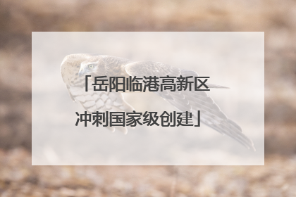 岳阳临港高新区冲刺国家级创建