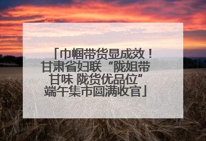 巾帼带货显成效！甘肃省妇联“陇姐带甘味 陇货优品位”端午集市圆满收官