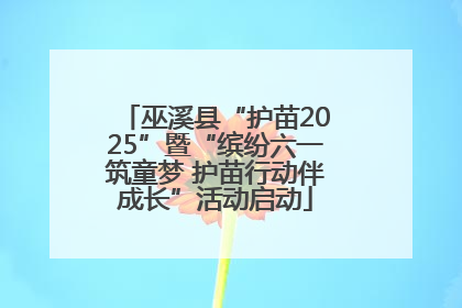 巫溪县“护苗2025”暨“缤纷六一筑童梦 护苗行动伴成长”活动启动