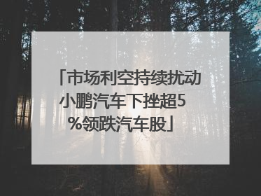 市场利空持续扰动 小鹏汽车下挫超5%领跌汽车股