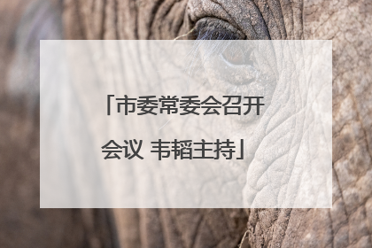 市委常委会召开会议 韦韬主持