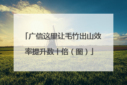 广信这里让毛竹出山效率提升数十倍（图）