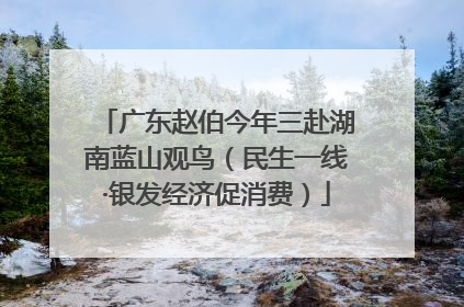 广东赵伯今年三赴湖南蓝山观鸟（民生一线·银发经济促消费）