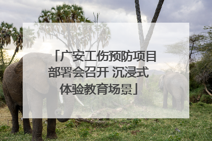 广安工伤预防项目部署会召开 沉浸式体验教育场景