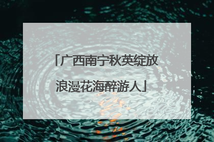 广西南宁秋英绽放 浪漫花海醉游人