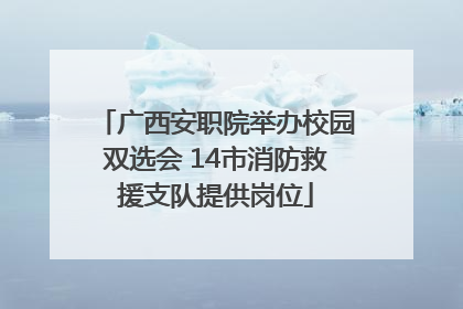 广西安职院举办校园双选会 14市消防救援支队提供岗位