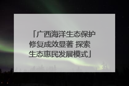 广西海洋生态保护修复成效显著 探索生态惠民发展模式