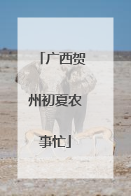 广西贺州初夏农事忙