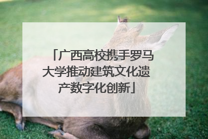 广西高校携手罗马大学推动建筑文化遗产数字化创新