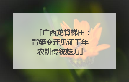 广西龙脊梯田：背篓变迁见证千年农耕传统魅力