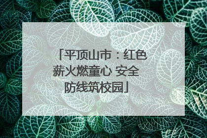 平顶山市：红色薪火燃童心 安全防线筑校园