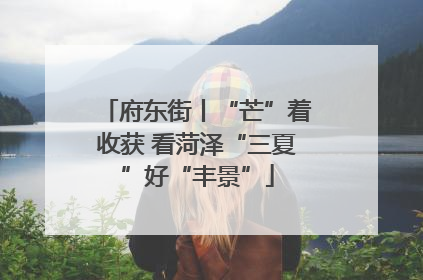 府东街丨“芒”着收获 看菏泽“三夏”好“丰景”