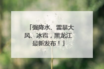 强降水、雷暴大风、冰雹，黑龙江最新发布！