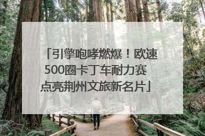 引擎咆哮燃爆！欧速500圈卡丁车耐力赛点亮荆州文旅新名片