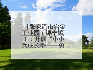 张家港市冶金工业园（锦丰镇）：开展“小小兵成长季——勇敢挑战营”国防启蒙教育活动