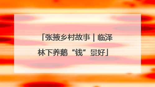 张掖乡村故事｜临泽林下养鹅“钱”景好