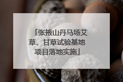 张掖山丹马场艾草、甘草试验基地项目落地实施