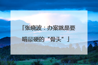 张晓波：办案就是要啃最硬的“骨头”