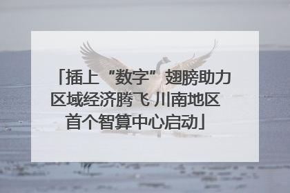 插上“数字”翅膀助力区域经济腾飞 川南地区首个智算中心启动