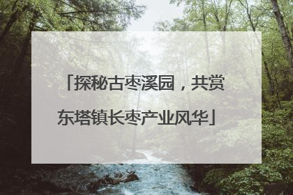 探秘古枣溪园，共赏东塔镇长枣产业风华