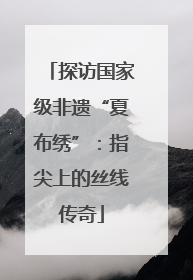 探访国家级非遗“夏布绣”：指尖上的丝线传奇