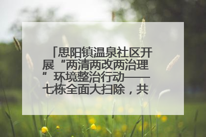 思阳镇温泉社区开展“两清两改两治理”环境整治行动——七栋全面大扫除，共建洁净家园