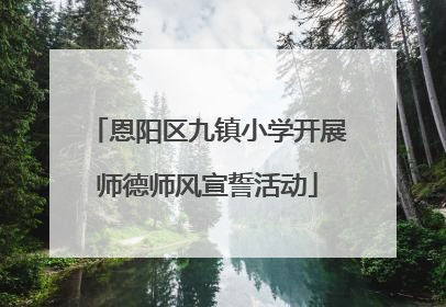 恩阳区九镇小学开展师德师风宣誓活动