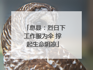息县：烈日下工作服为伞 撑起生命阴凉