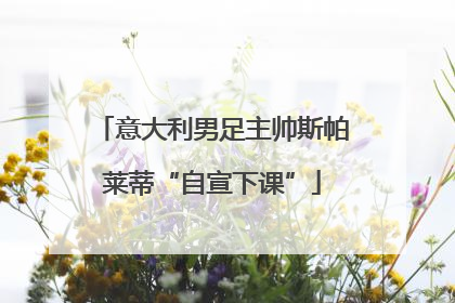 意大利男足主帅斯帕莱蒂“自宣下课”
