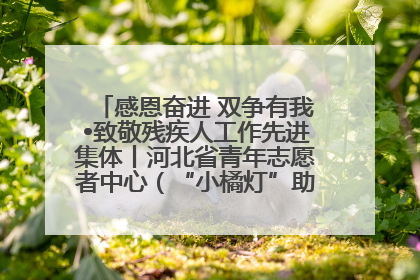 感恩奋进 双争有我•致敬残疾人工作先进集体丨河北省青年志愿者中心（“小橘灯”助残接力计划实施团队）：用温暖陪伴，守护特殊孩子成长