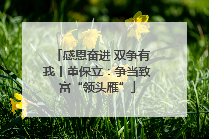 感恩奋进 双争有我丨董保立：争当致富“领头雁”