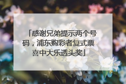 感谢兄弟提示两个号码，浦东购彩者复式票喜中大乐透头奖