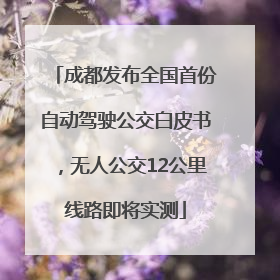成都发布全国首份自动驾驶公交白皮书，无人公交12公里线路即将实测