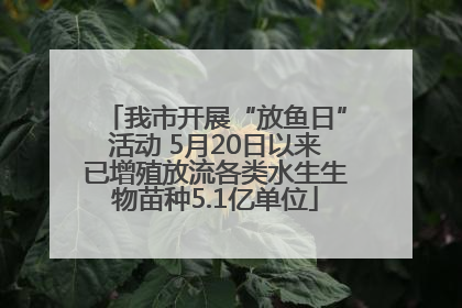 我市开展“放鱼日”活动 5月20日以来已增殖放流各类水生生物苗种5.1亿单位