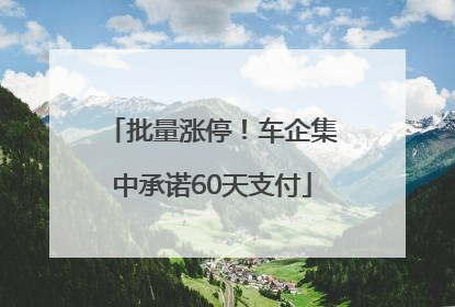 批量涨停！车企集中承诺60天支付