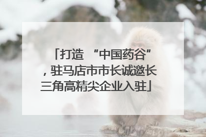 打造 “中国药谷”，驻马店市市长诚邀长三角高精尖企业入驻