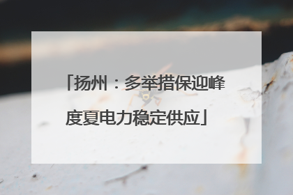 扬州：多举措保迎峰度夏电力稳定供应