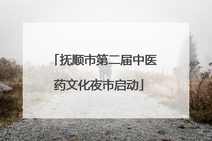 抚顺市第二届中医药文化夜市启动