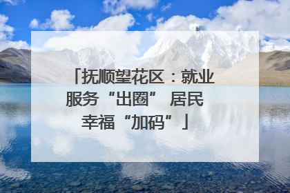抚顺望花区：就业服务“出圈” 居民幸福“加码”