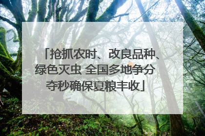 抢抓农时、改良品种、绿色灭虫 全国多地争分夺秒确保夏粮丰收