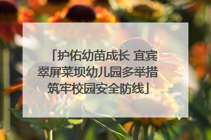护佑幼苗成长 宜宾翠屏菜坝幼儿园多举措筑牢校园安全防线