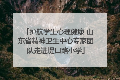 护航学生心理健康 山东省精神卫生中心专家团队走进堤口路小学
