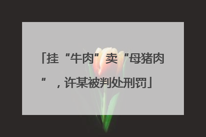 挂“牛肉”卖“母猪肉”，许某被判处刑罚