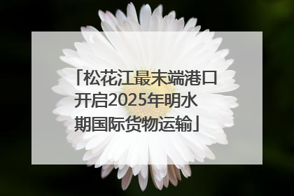 松花江最末端港口开启2025年明水期国际货物运输