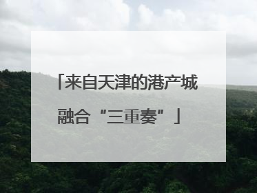 来自天津的港产城融合“三重奏”