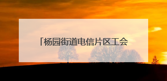 杨园街道电信片区工会小组：粽情端午送安康 “益心暖新”零距离